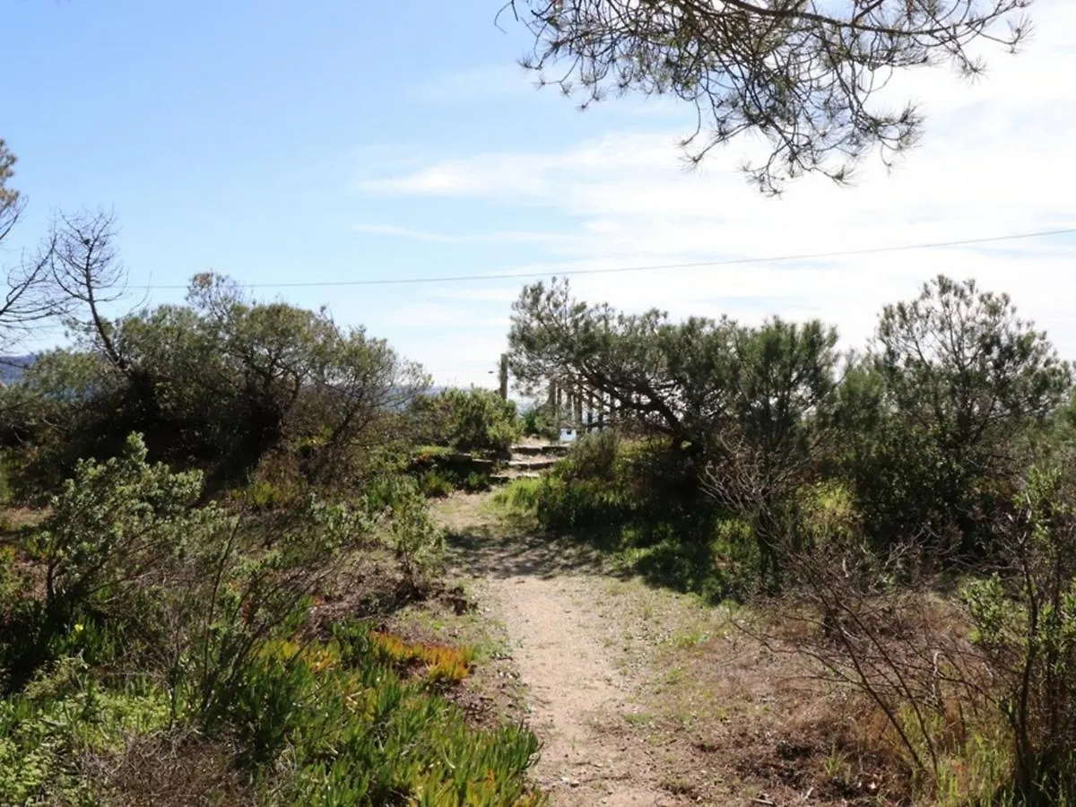 Villa De Charme En Pinede, 4 Chambres Climatisees, Acces Direct Plage - Fr-1-100-209 Кавалер-сюр-Мер 0*,